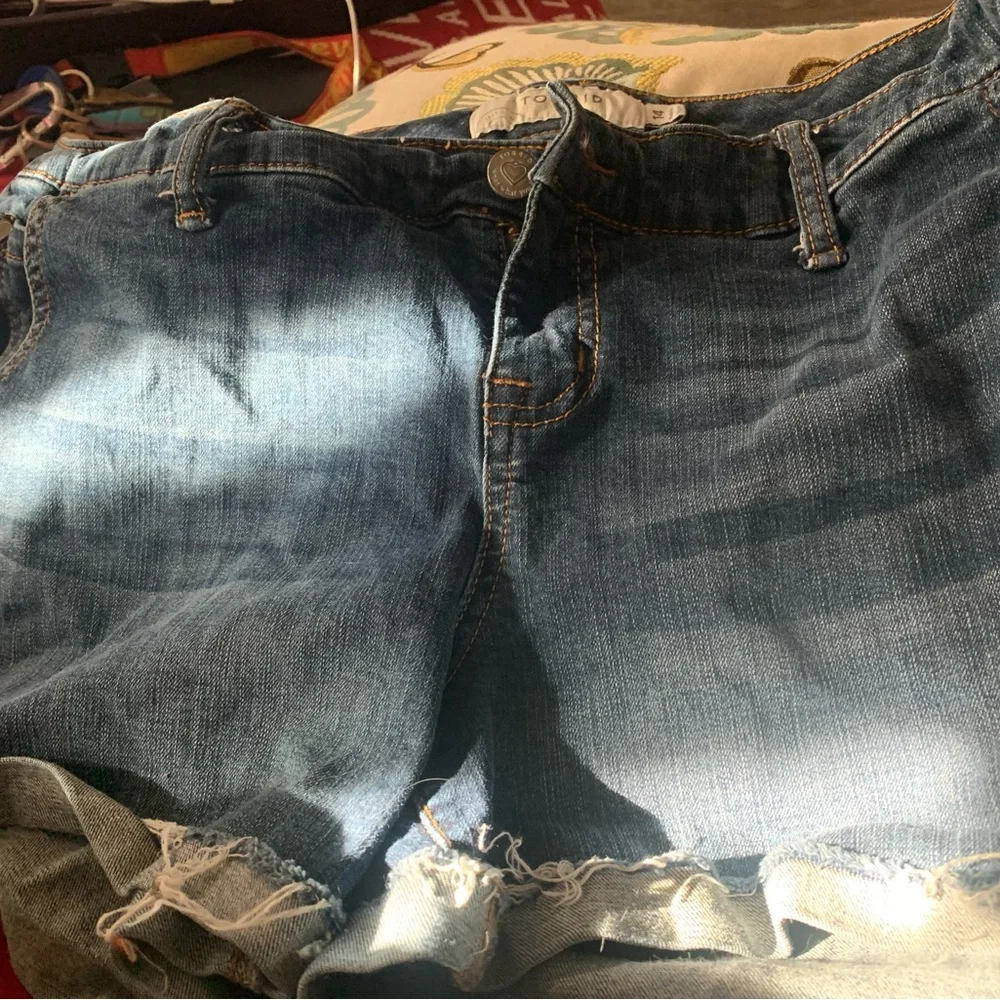 torrid Women Blue Denim Shorts